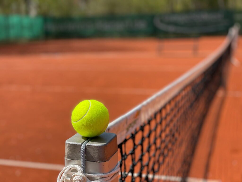 Fuzzy Tennis ball resting on tennis court net.